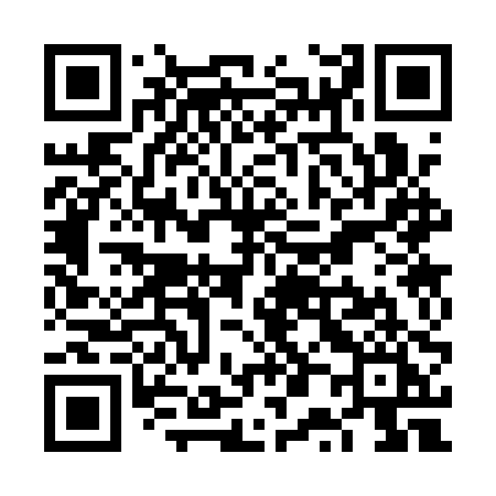 QR code for VP31PI
