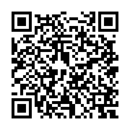 QR code for VPA0029