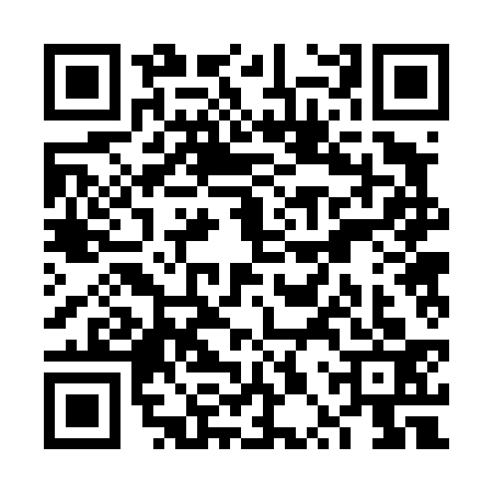 QR code for VPR4333