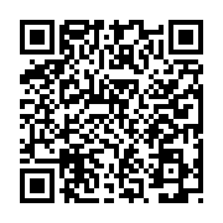 QR code for VQE4389
