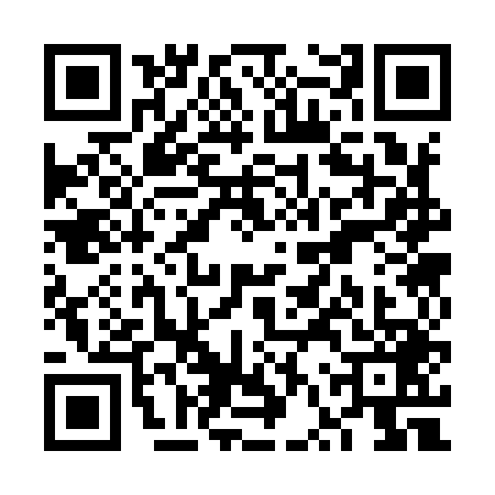 QR code for VVS9493