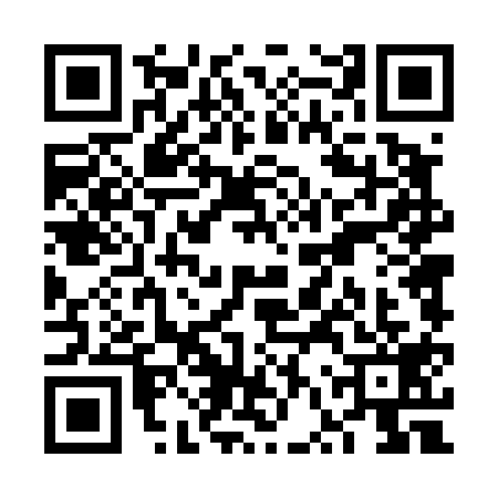QR code for VVT4199