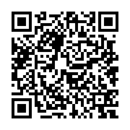 QR code for VWN0335
