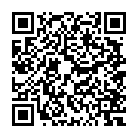 QR code for VWP4463