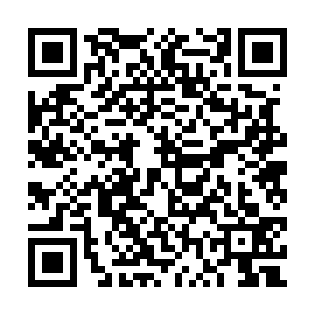 QR code for VWR5334