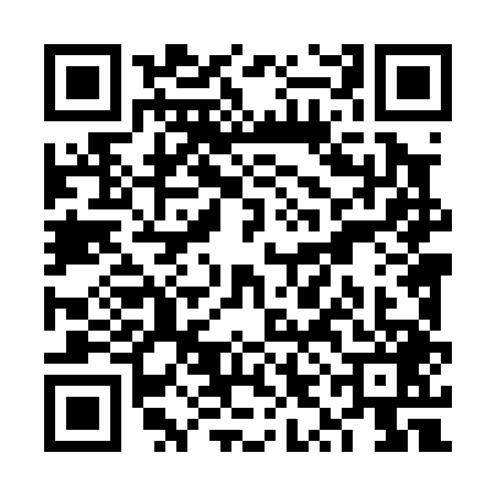 QR code for VYL0497