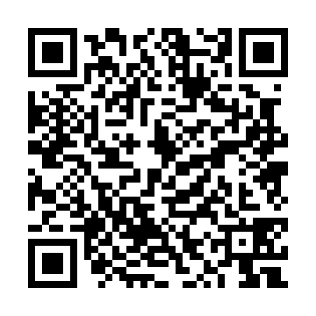 QR code for VYP0384