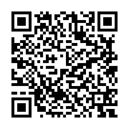 QR code for VYS8203