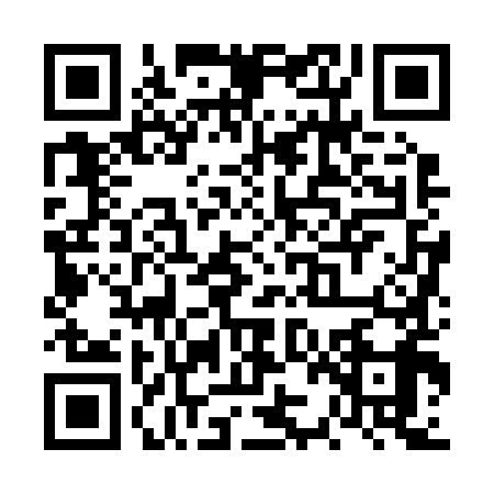 QR code for VZJ2995
