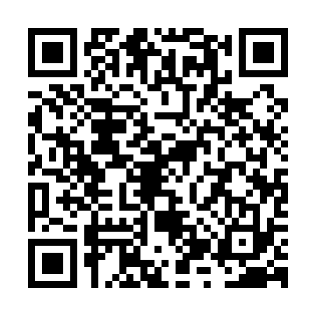 QR code for VZQ1333