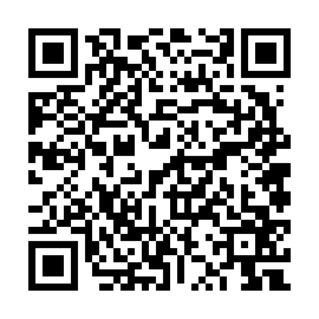 QR code for VZV6666