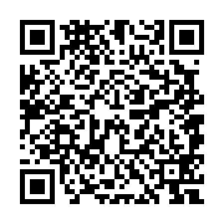QR code for WDF0993