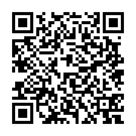 QR code for WDZ0307