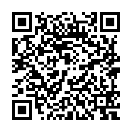 QR code for WEI9993