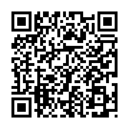 QR code for WEL0384