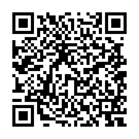 QR code for WER0938