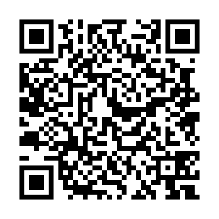 QR code for WFP0381