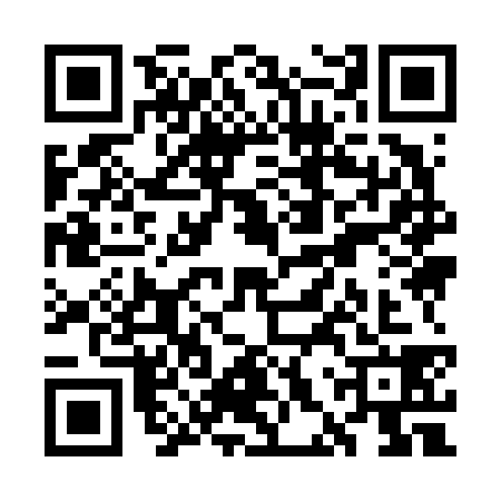 QR code for WHY6386