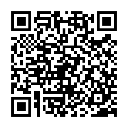 QR code for WII4445