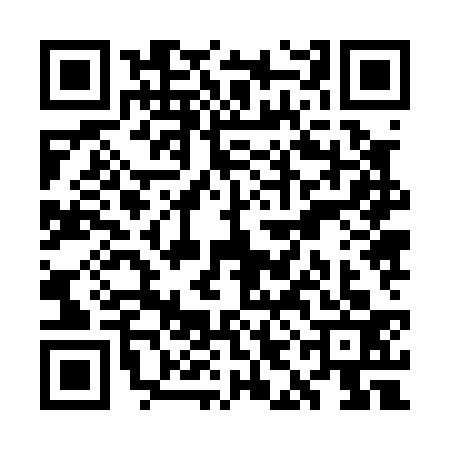QR code for WIJ0339