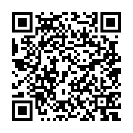 QR code for WIP0711