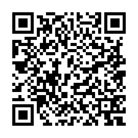 QR code for WIP9728