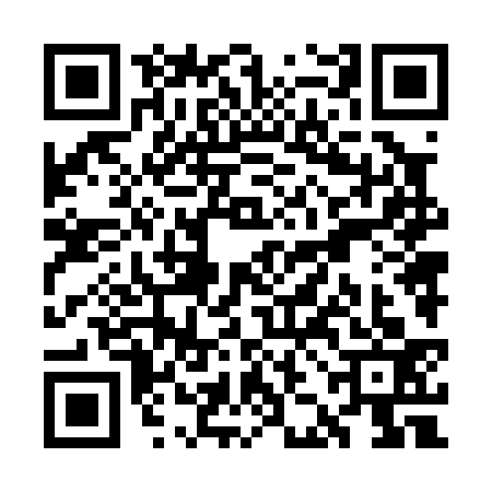 QR code for WJN0336