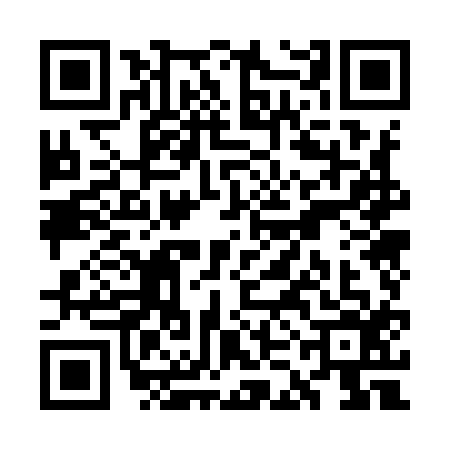 QR code for WKO9161