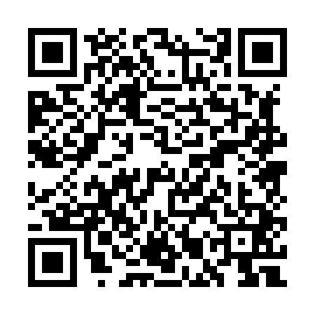 QR code for WMP8411