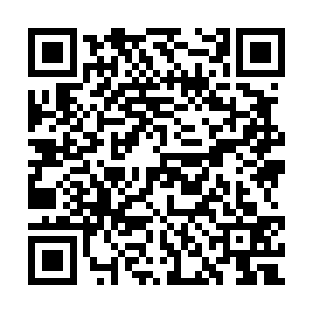 QR code for WNI4338