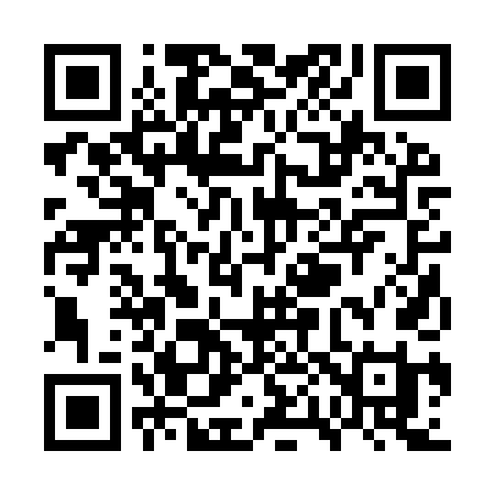 QR code for WP29TI