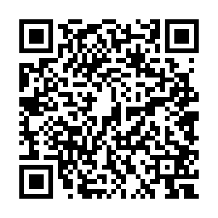 QR code for WPT3029