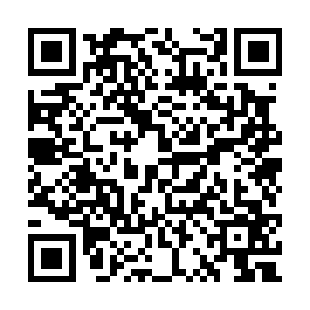 QR code for WRO0667