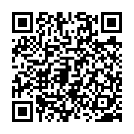 QR code for WSA6691
