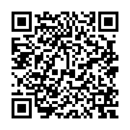 QR code for WSI0040