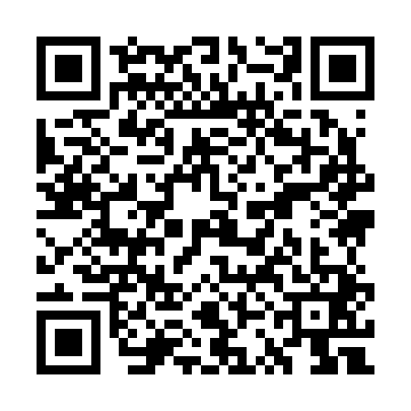 QR code for WSI2411