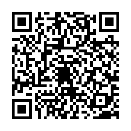 QR code for WTL2991