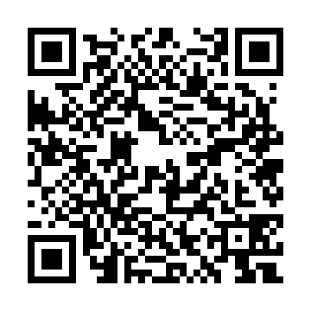 QR code for WYW2384