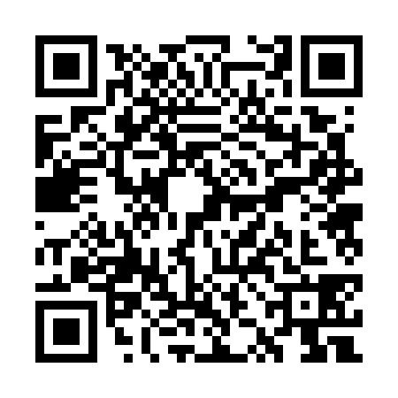 QR code for WZB7383