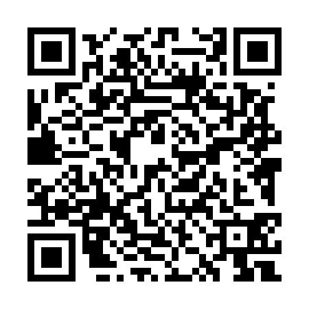 QR code for WZL5307