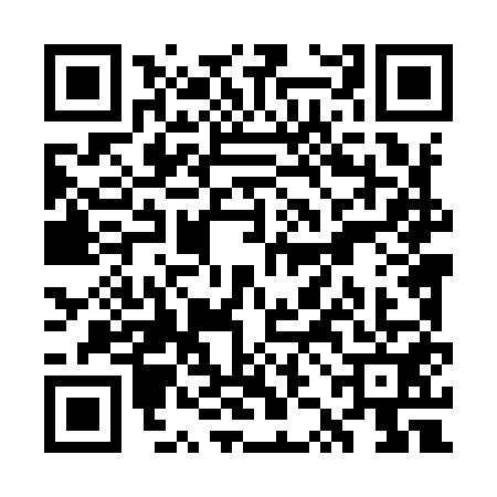 QR code for WZL9513