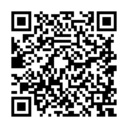 QR code for WZM8828