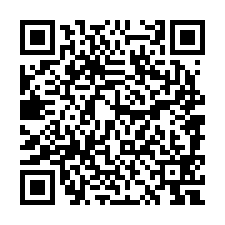 QR code for WZN2995