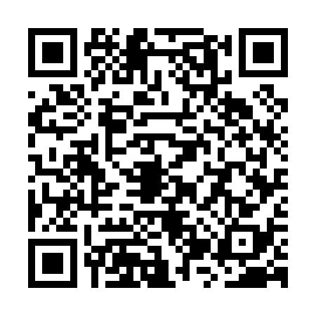 QR code for WZW0386