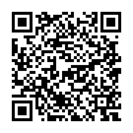 QR code for WZX0539