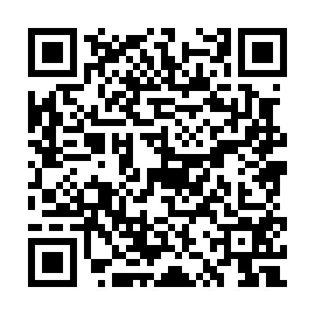 QR code for WZX0545
