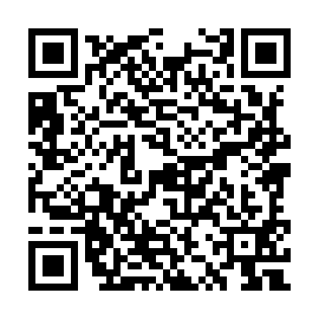 QR code for WZX9913