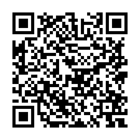 QR code for WZY8079