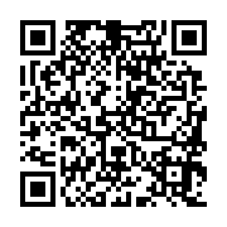 QR code for XAE3951