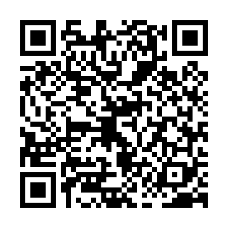 QR code for XAM0698